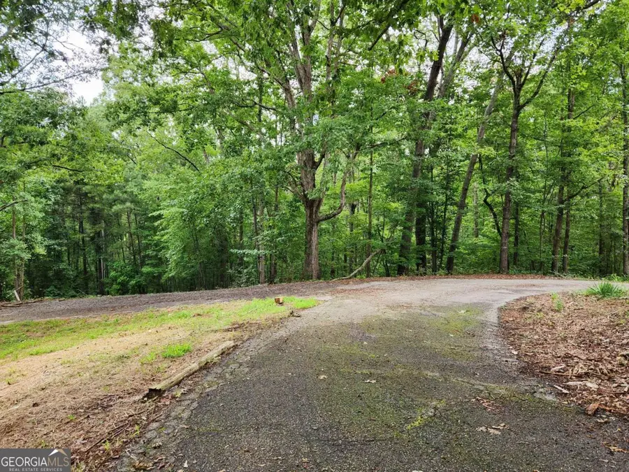 1397 Mcpherson Church Road, Dallas, GA 30132 - #3