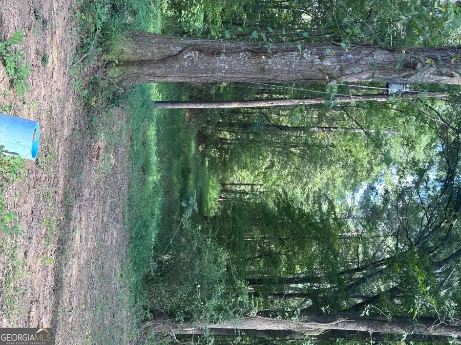 966 Judkin Mill Road, Cedartown, GA 30125 - Image #3