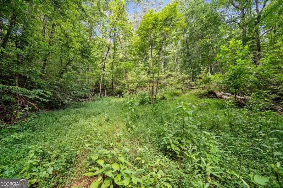 3.11 Acres Cove Road, Jasper, GA 30143 - #3