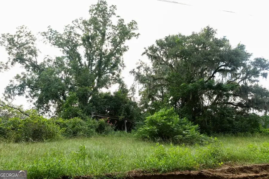 0 Twin Forks Road #TRACT 1, Statesboro, GA 30458 - Image #2