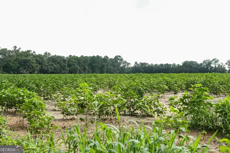 0 Twin Forks Road #TRACT 1, Statesboro, GA 30458 - Image #3