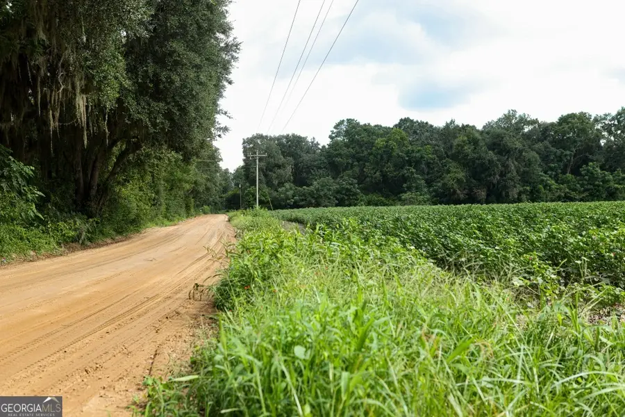 0 Twin Forks Road #TRACT 2, Statesboro, GA 30458 - Image #2