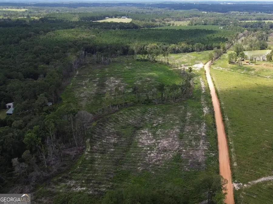 0 Peeples Farm Road, Sylvania, GA 30467 - Image #2