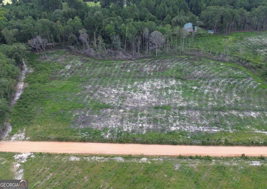 0 Peeples Farm Road, Sylvania, GA 30467 - Image #3