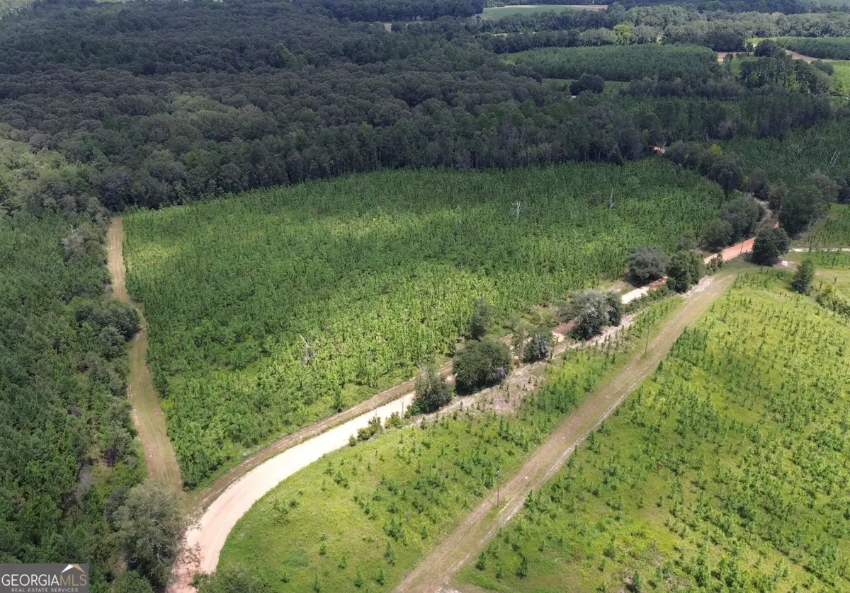 001 Beulah Road, Sylvania, GA 30467 - Image #1