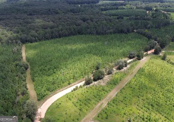 001 Beulah Road, Sylvania, GA 30467