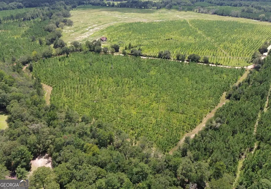 001 Beulah Road, Sylvania, GA 30467 - Image #3