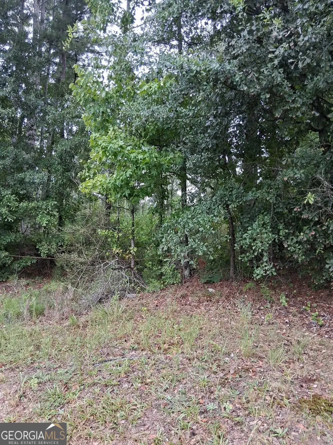 0 Joe Jerkins Boulevard, Austell, GA 30106 - Image #1