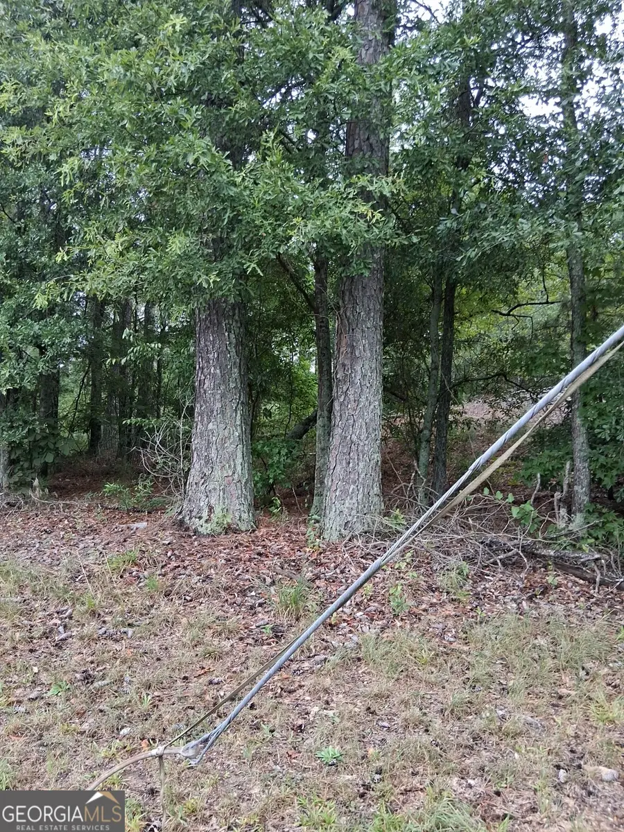 0 Joe Jerkins Boulevard, Austell, GA 30106 - Image #2