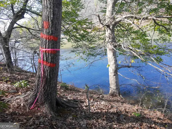 LOT 6 Lost Forest Drive, Westminster, SC 29693