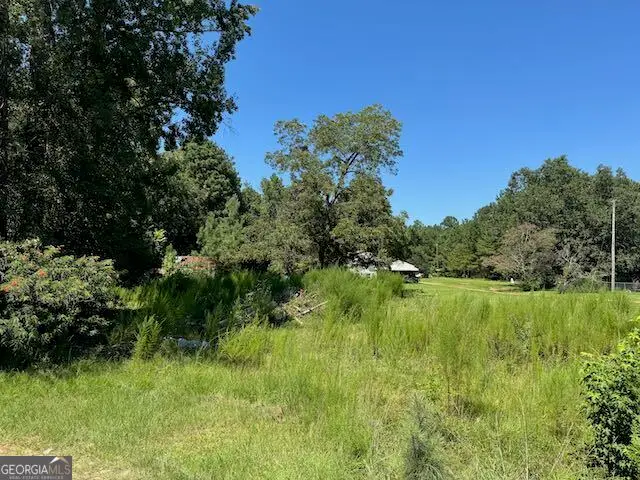 849 E Mccarty Street, Sandersville, GA 31082 - Image #3