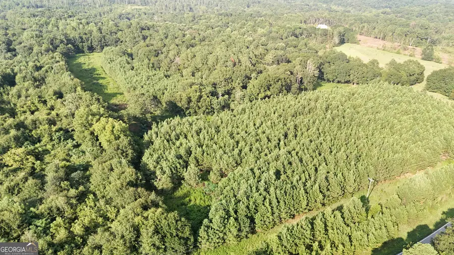 0 Pulliam Mill Road, Dewy Rose, GA 30634 - Image #2