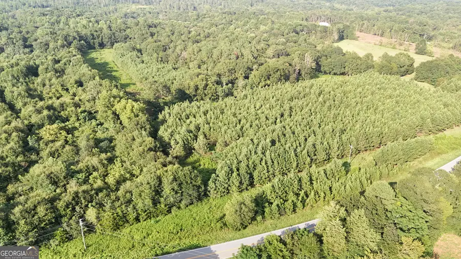 0 Pulliam Mill Road, Dewy Rose, GA 30634 - Image #3