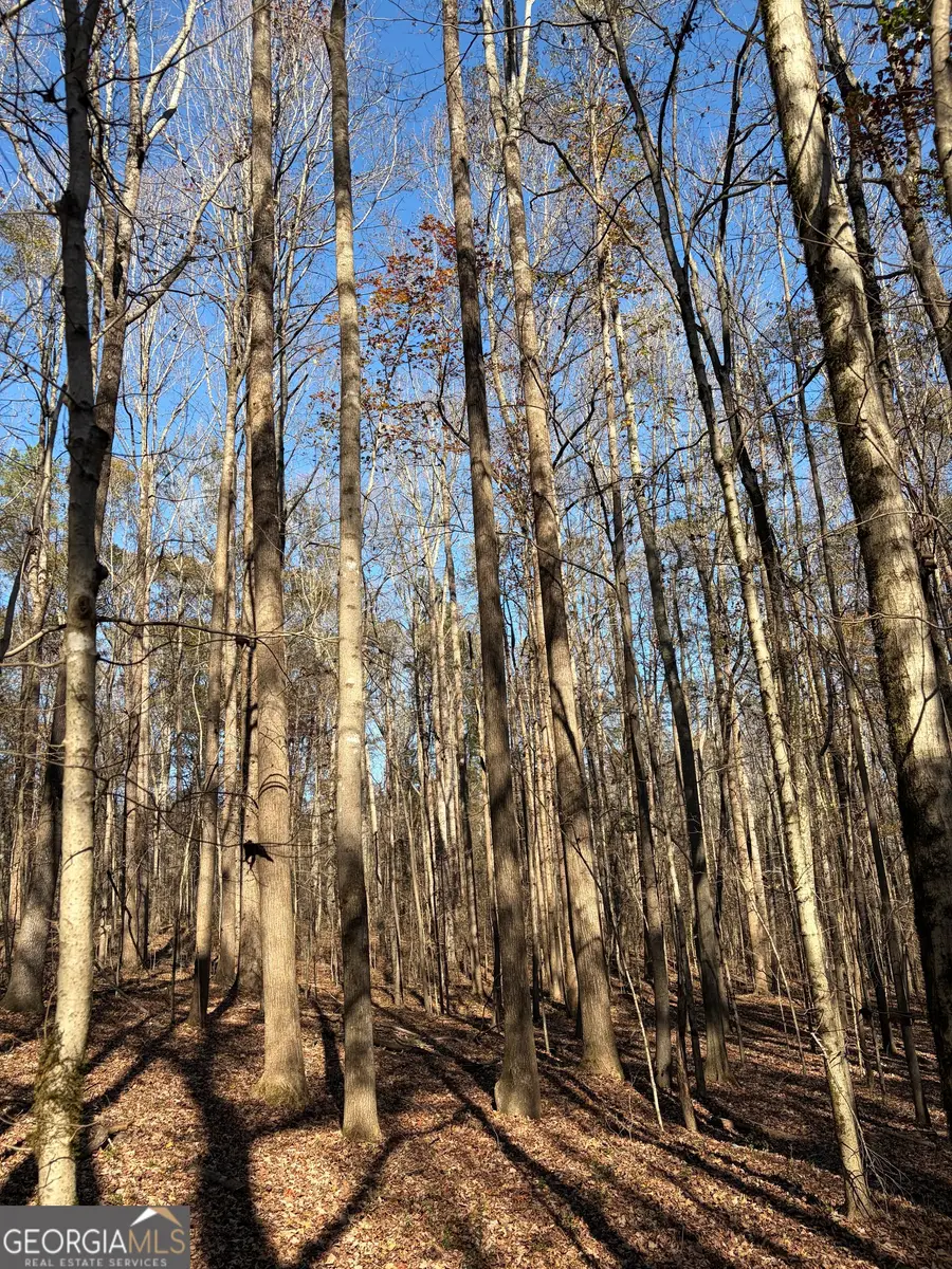 390 Beck Farm Road, Commerce, GA 30529 - Image #2