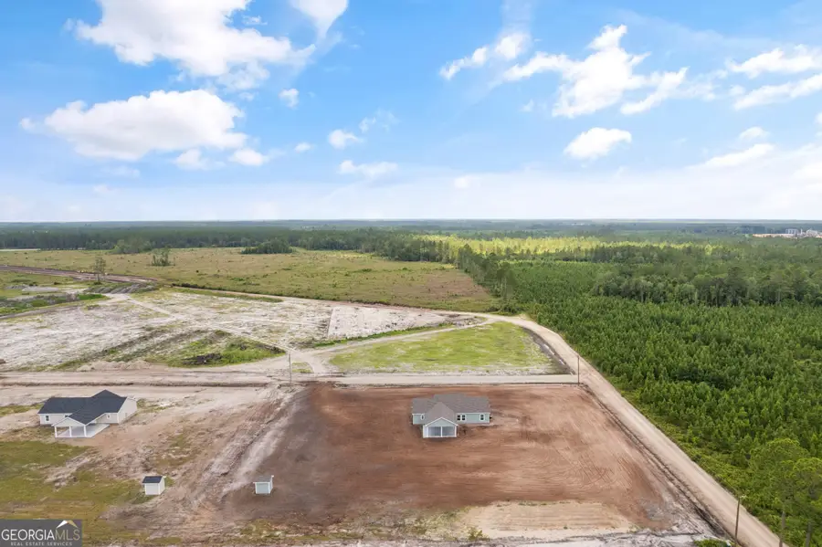 4452 Pembers Road, Nahunta, GA 31553 - Image #2