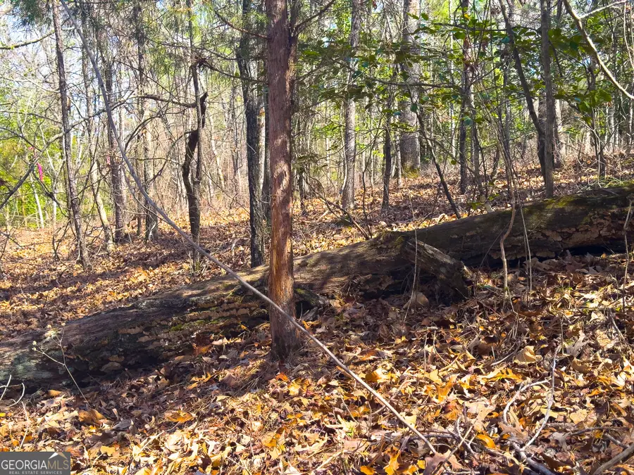 0 Laurel Branch Road, McIntyre, GA 31054 - Image #2