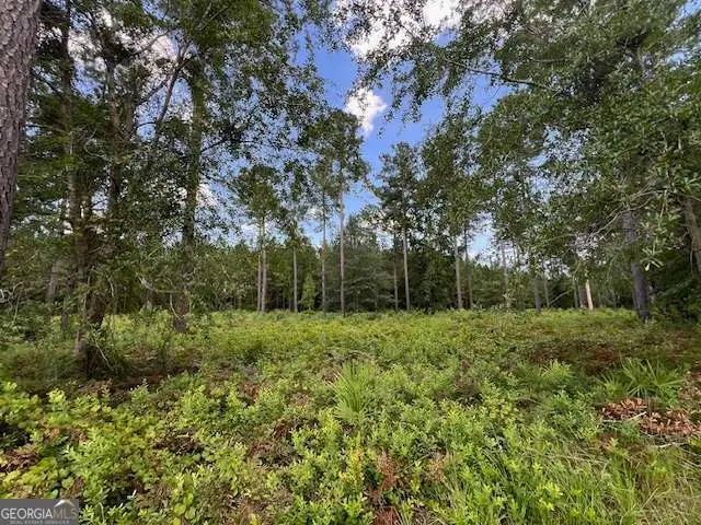 19 Windmill Palm, Brunswick, GA 31523 - Image #1