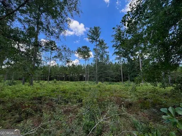 19 Windmill Palm, Brunswick, GA 31523 - Image #2