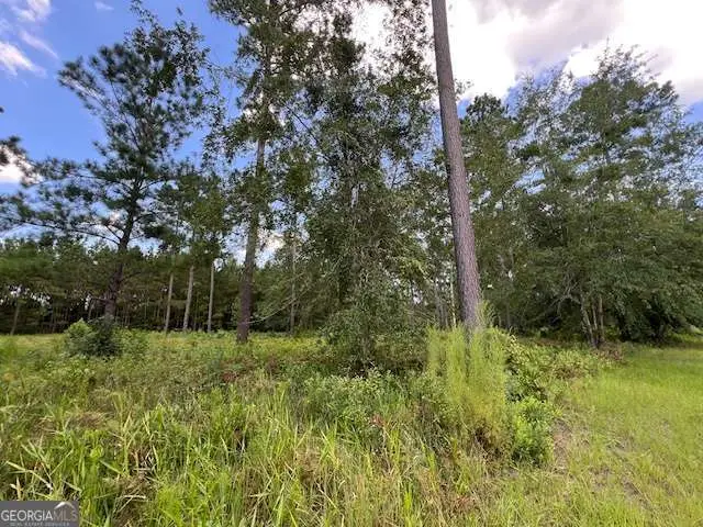 19 Windmill Palm, Brunswick, GA 31523 - Image #3