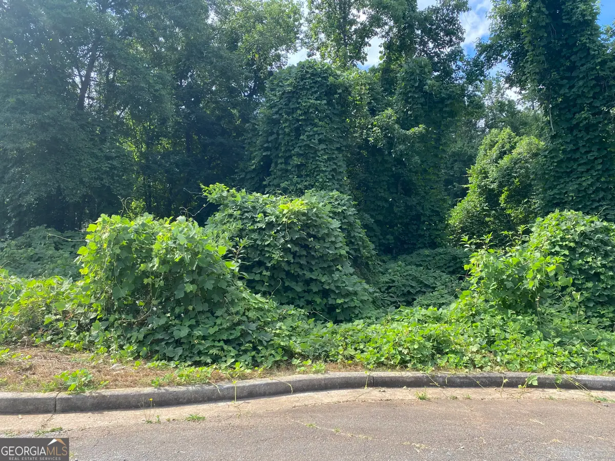 0 Hannah Court #LOT 13, Barnesville, GA 30204 - Image #1