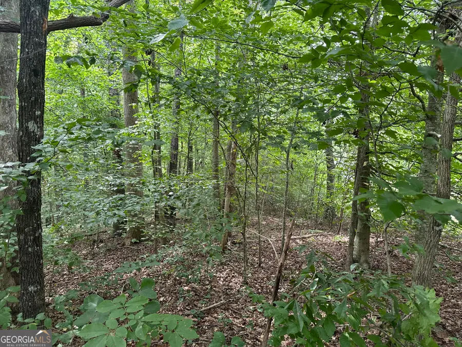 0 Wards Creek Road, Toccoa, GA 30577 - Image #3