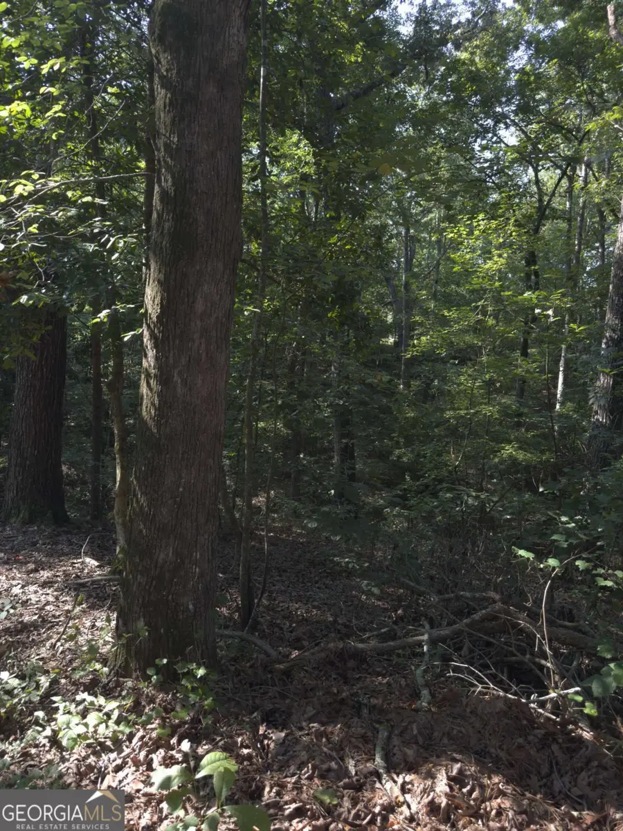 3746 Leach Road, Gainesville, GA 30506 - Image #2