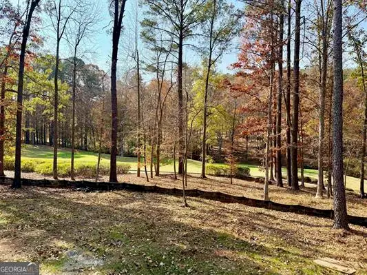 1030 Pearls Court, Greensboro, GA 30642 - Image #3
