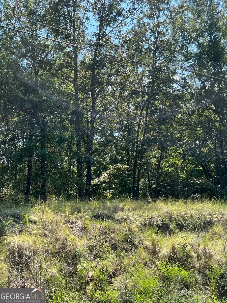 0 Richardson Mill Road, Fort Valley, GA 31030 - Image #3