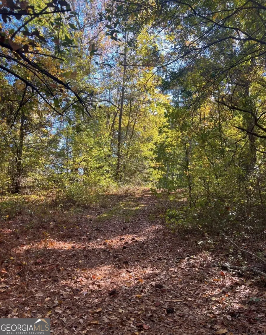 222 Jett Roberts Road, Jefferson, GA 30549 - Image #3