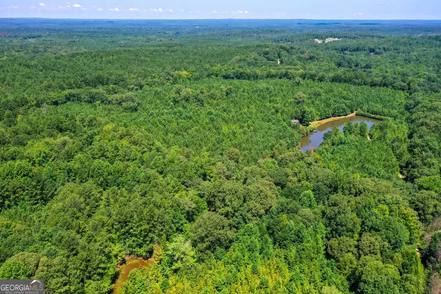 0 Macedonia Road, Newnan, GA 30263 - Image #2