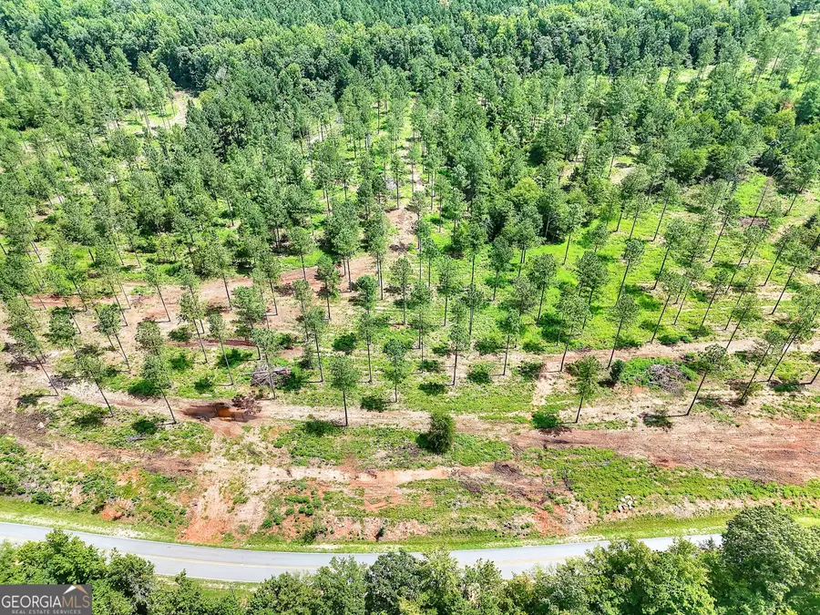 1953 Flat Rock Church Road, White Plains, GA 30678 - Image #2