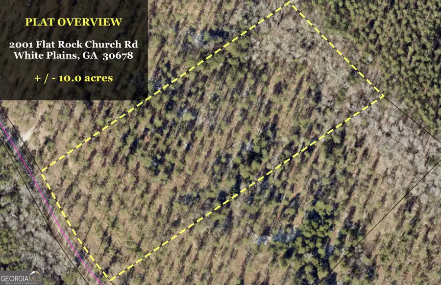 1953 Flat Rock Church Road, White Plains, GA 30678 - Image #3