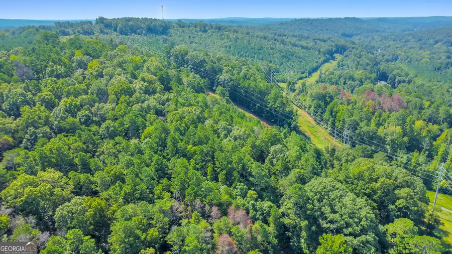 169 Jack Street Se, Silver Creek, GA 30173 - Image #3