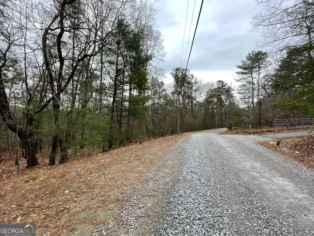 0 Squirrel Hunting Road, Ellijay, GA 30536 - Image #1