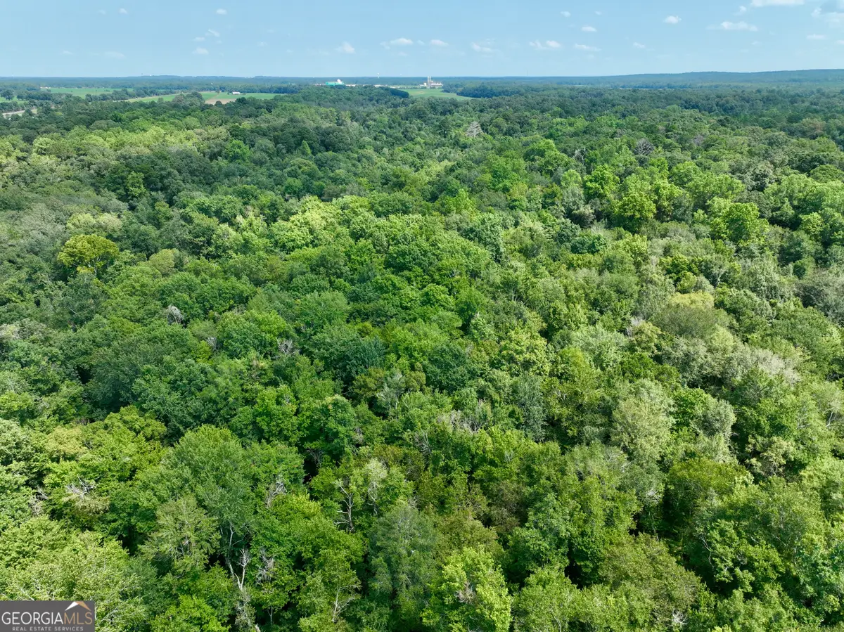 0 Hwy 247, Kathleen, GA 31047 - Image #1