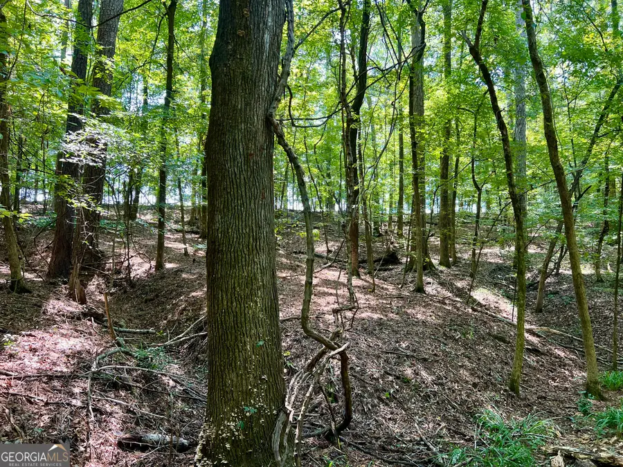 0 Hwy 247, Kathleen, GA 31047 - Image #3