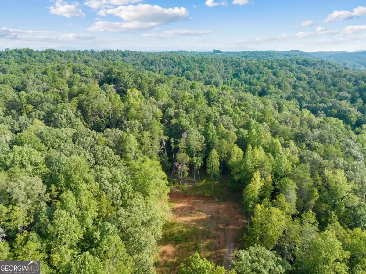 2041 Long Branch Road #TRACT 2A, Dahlonega, GA 30533 - Image #1