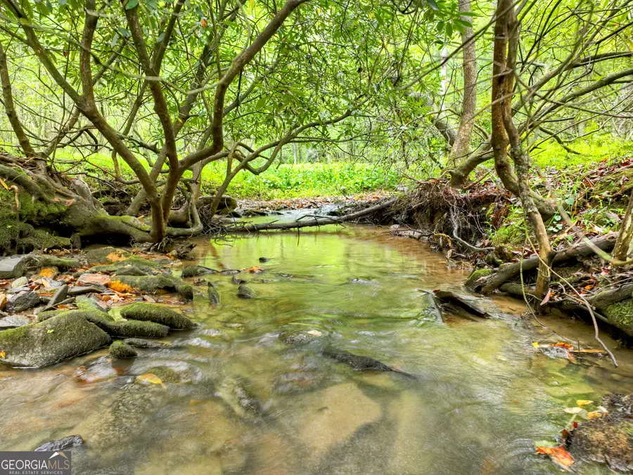 LOT 45 Synacia Drive, Mineral Bluff, GA 30559 - Image #2