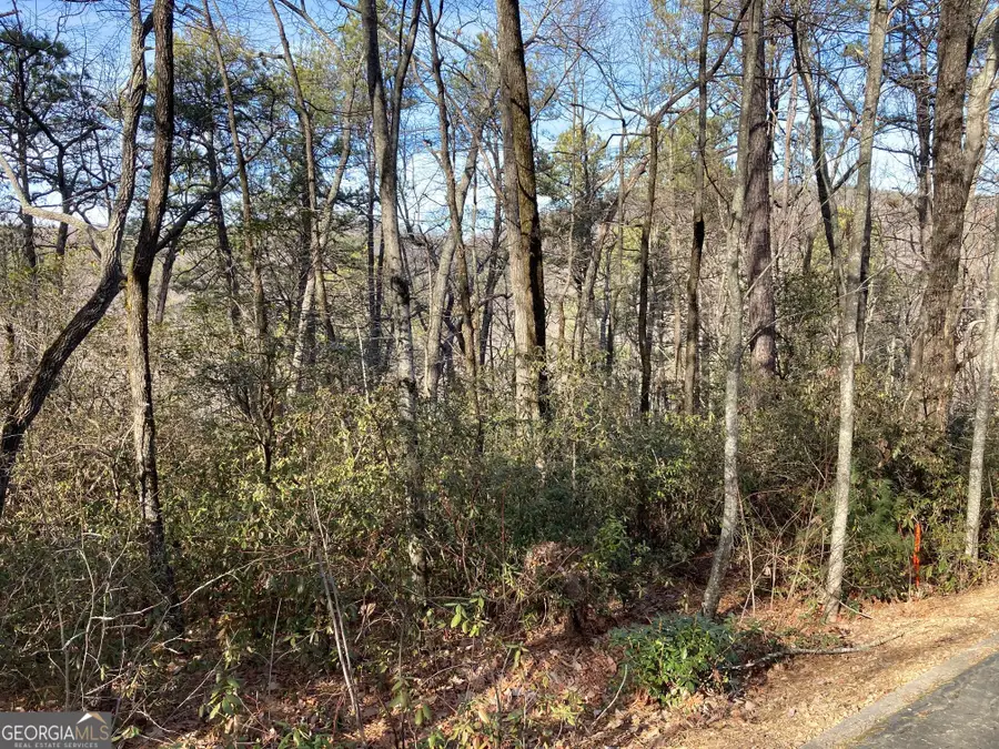 LOT 36 Whispering Dale Drive, Clarkesville, GA 30523 - Image #3