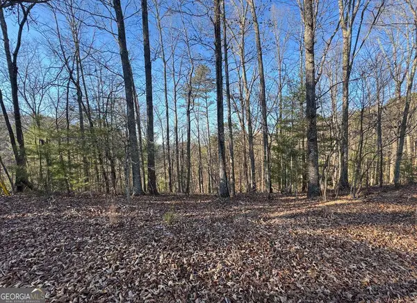 0 Rebekah Ridge #LOT 1710, Talking Rock, GA 30175