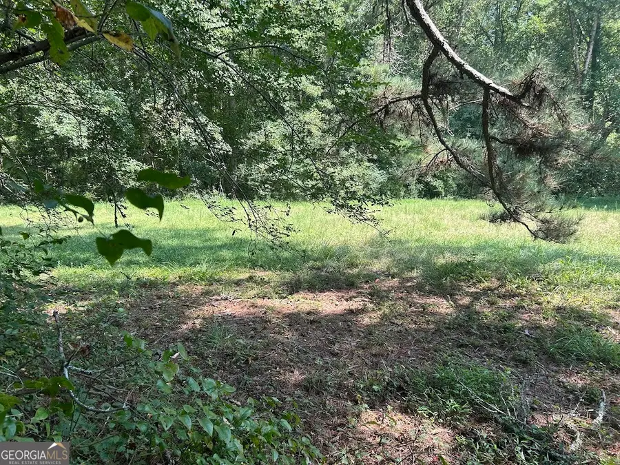 TRACT 1 Attaway Road #4.15 ACRES, Bowdon, GA 30108 - Image #3