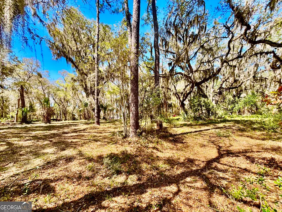 LOT 4 Mission Drive, Darien, GA 31305 - Image #2