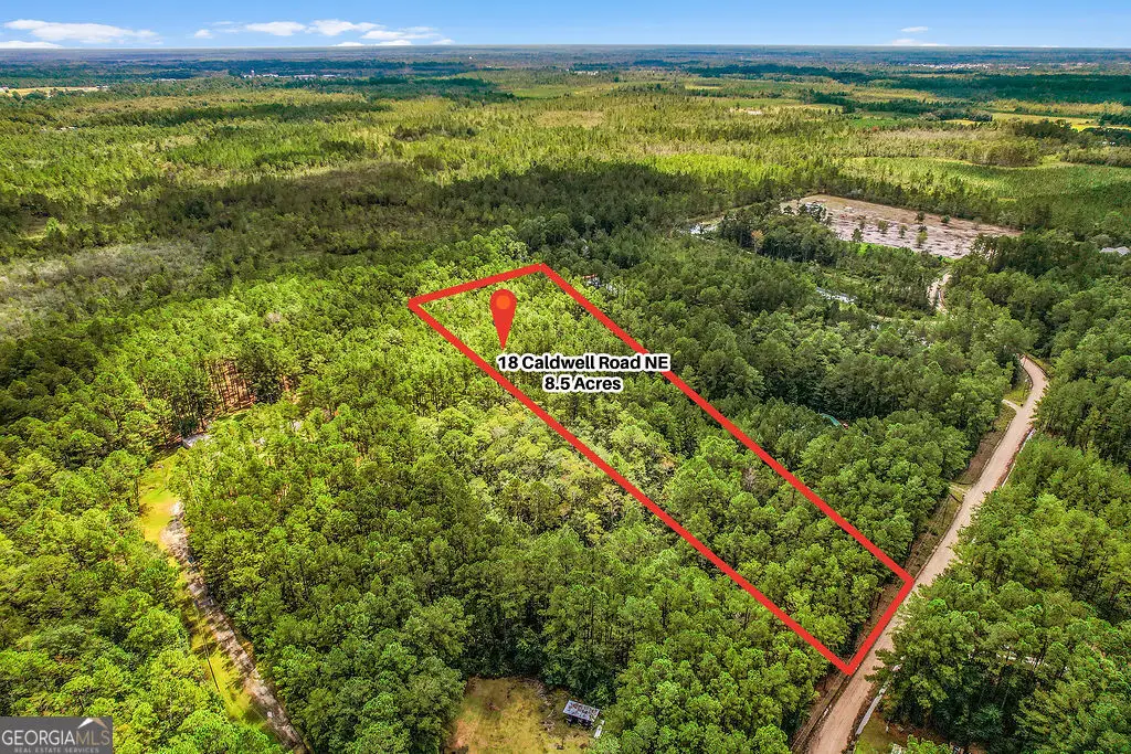 18 Caldwell Road Ne, Ludowici, GA 31316 - Image #1