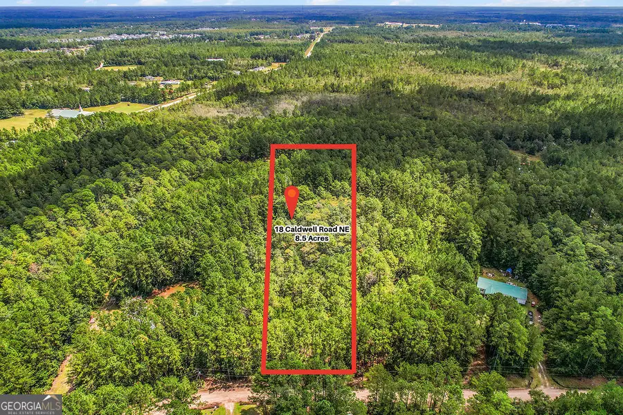 18 Caldwell Road Ne, Ludowici, GA 31316 - Image #2
