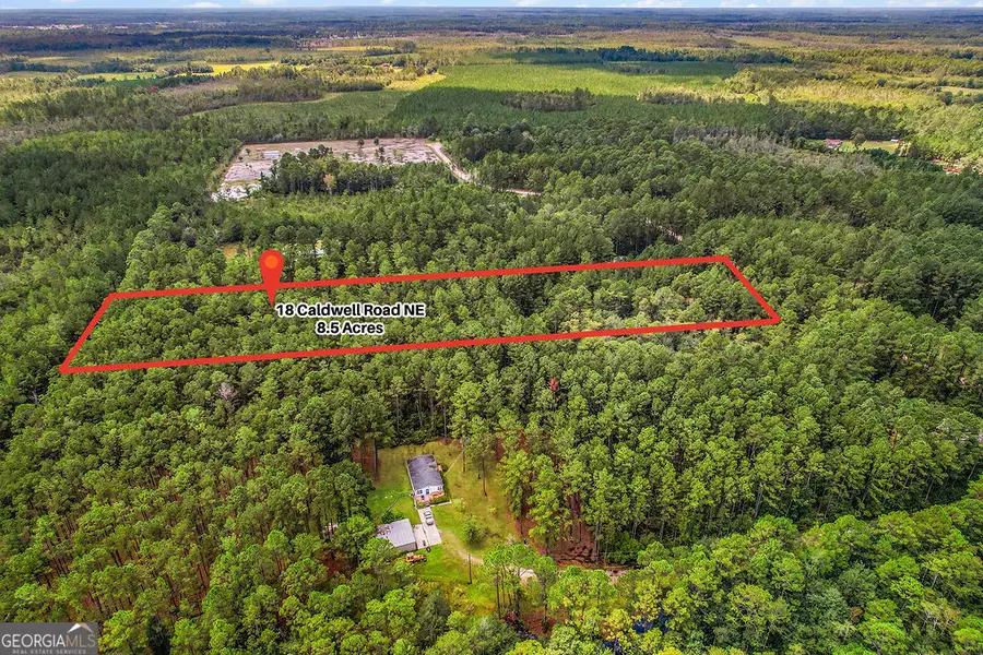 18 Caldwell Road Ne, Ludowici, GA 31316 - Image #3