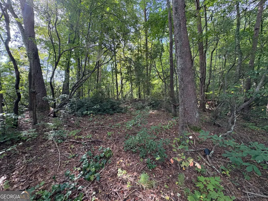 0 Travelers Lane, Clayton, GA 30525 - Image #2