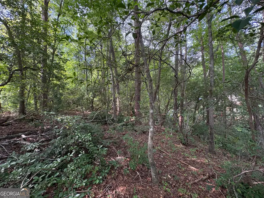 0 Travelers Lane, Clayton, GA 30525 - Image #3