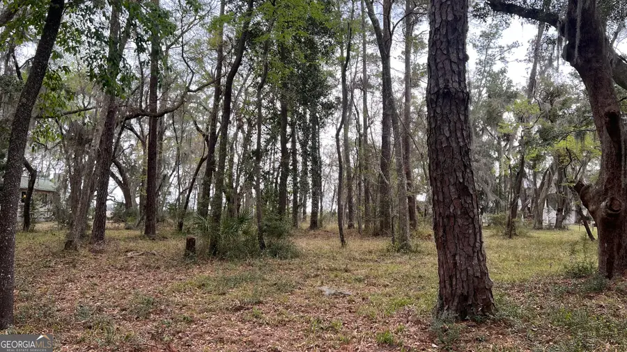 LOT 28 E Black Island Road, Darien, GA 31305 - Image #2
