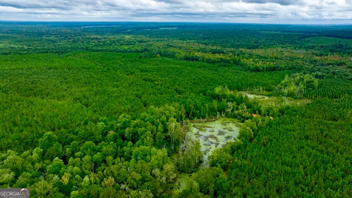 0 Pine Creek Road, Ellaville, GA 31806 - Image #1