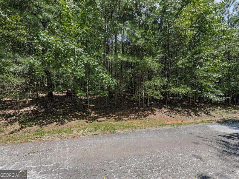 140 Joe Green Lane, Canton, GA 30114 - Image #3